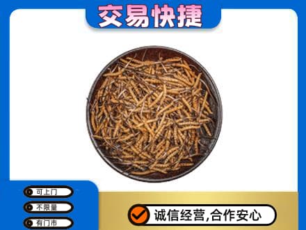 邢台回收散虫草